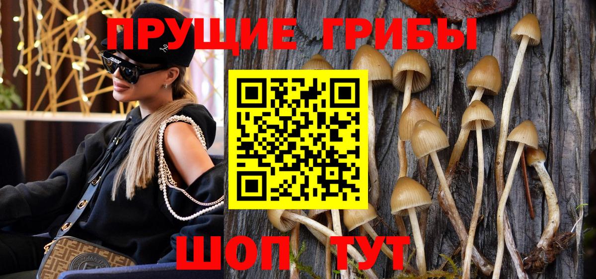 сколько стоит  Галлюциногенные грибы MAGIC MUSHROOMS  Вход с VPN  Черняховск 